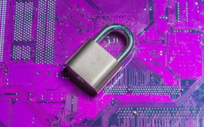 Data Privacy Day: zo gaat Data Recovery Nederland zorgvuldig om met klantdata